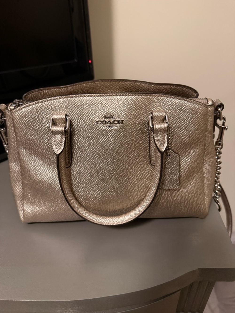 Coach Metallic Silver Leather Satchel - Coach